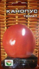 Tomatele sunt subdimensionate - mijlocii, portal de gradina, stiri de gradina, gradina