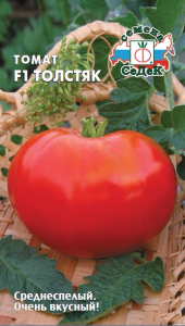 Tomate grăsime comentarii, fotografie, productivitate