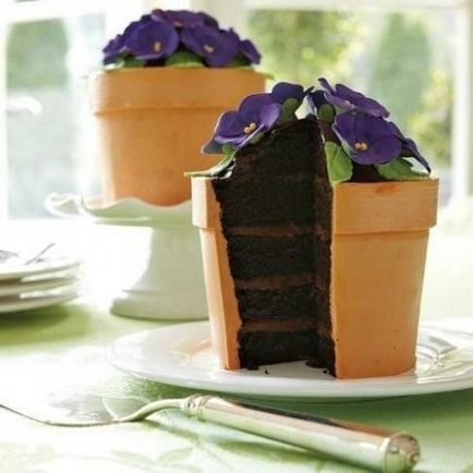 Cake gitt - virágcserép