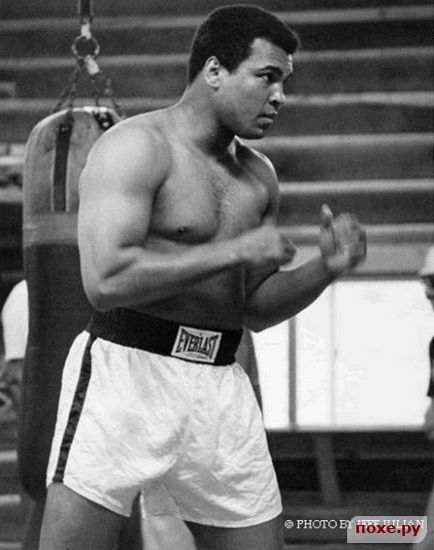 Campionii de antrenament Mohammed Ali