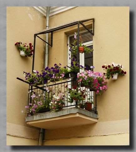 Díszítse virágok minden ház, minden veranda, udvar!