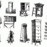 Вулики для бджіл види вуликів і їх особливості, особливості самостійного виготовлення бджолиних