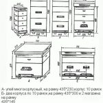 Urticarie pentru albine specie de stupi si caracteristicile lor, particularitati de auto-fabricare a albinelor