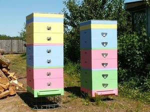 Urticarie pentru albine specii de stupi si caracteristicile lor, particularitati de auto-fabricare a albinelor