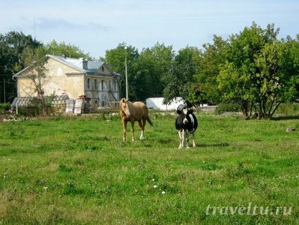 Садиба горенки - розквіт і занепад графського маєтку