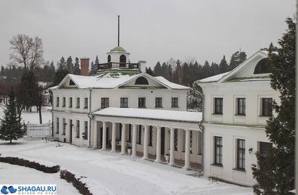 Gospodăria țăranilor de mijloc și cinematograful portughez