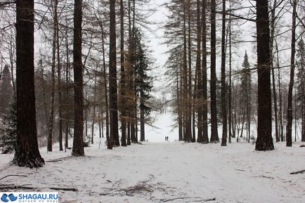 Gospodăria țăranilor de mijloc și cinematograful portughez