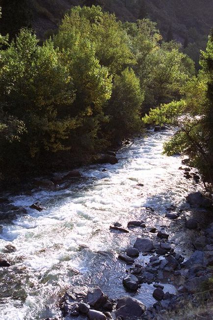 Turgen Gorge River Zhetisu