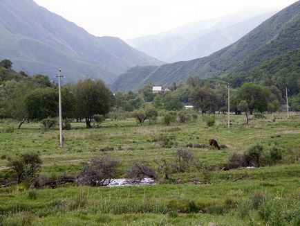 Turgen Gorge River Zhetisu