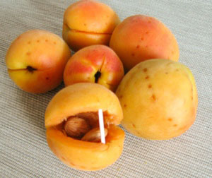 Варення з абрикосів c абрикосовою кісточкою на зиму рецепт - своїми руками