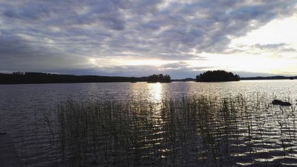 Велика сила води, закохана в життя