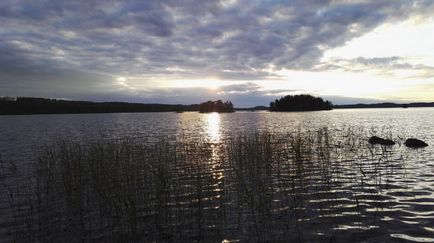 Велика сила води, закохана в життя