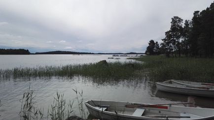 Велика сила води, закохана в життя