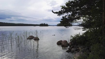 Велика сила води, закохана в життя