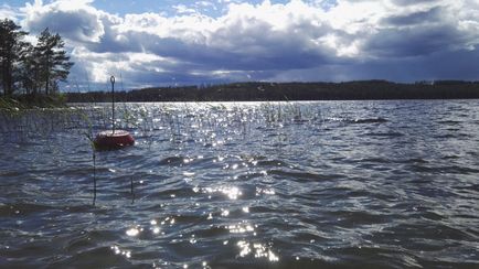 Голямата сила на водата, влюбена в живота