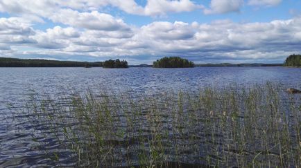 Велика сила води, закохана в життя