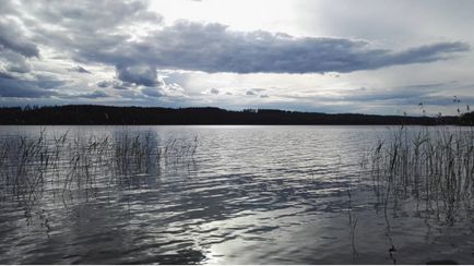 Велика сила води, закохана в життя