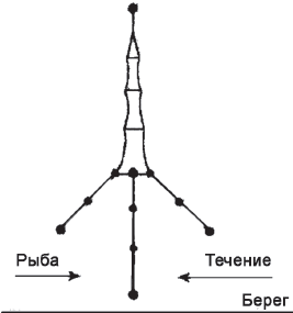 Venter (mare, yater, secret) - totul despre pescuit