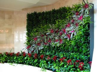 Peisagistica verticala in gradina, in tara, plante, fitomoduli, design, desene, tipuri, sisteme,