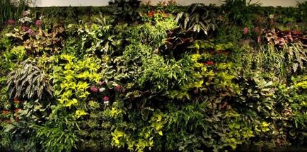 Peisagistica verticala in gradina, in tara, plante, fitomoduli, design, desene, tipuri, sisteme,