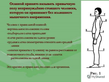 Відеоурок 17 - правильна постава - здоровий хребет