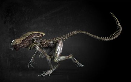 Tipuri și evoluția xenomorfelor din filmul 