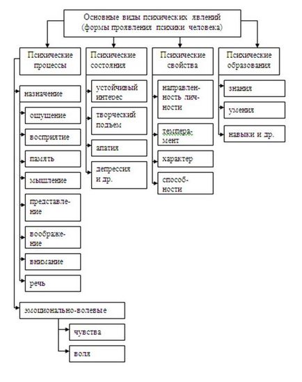 Види психічних явищ і їх взаємозв'язок