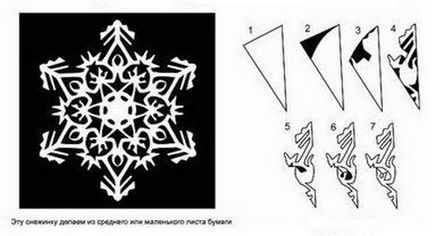 Am tăiat hârtie de zăpadă cu mâinile noastre