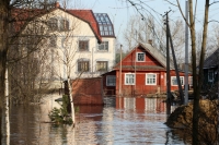 Facsart csepp (préselt) Megszorította az utolsó csepp