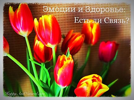 Вплив емоцій на здоров'я - happy - natural