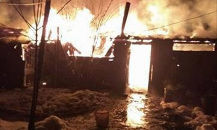 În regiunea Lviv, a fost ars un adăpost pentru câini, avocații animalelor cer ajutor 