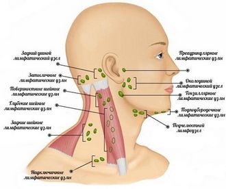 Nodul limfatic inflamat în ureche - gtsf