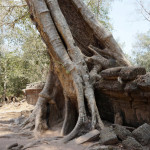 A templom komplexum Angkor Wat (Siem Reap, Kambodzsa)