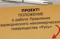 Навіщо потрібна ревізійна комісія, СНТ русь Талдомський район