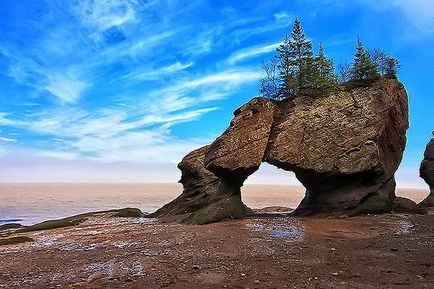 Golful Fundy, Canada și SUA - descriere, maree, fotografii