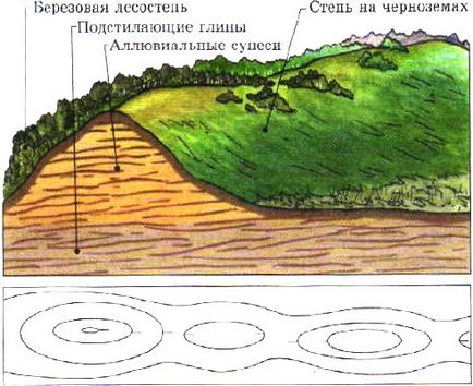 Câmpia Siberiană de Vest caracteristică a naturii