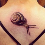 Înțeles tattoo snail