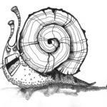 Înțeles tattoo snail