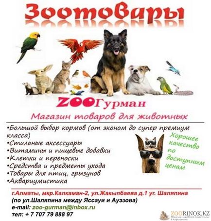 Zoorynok - vânzarea de animale în Kazahstan