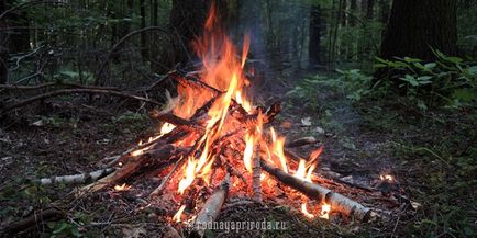 22 septembrie, ziua echinocțiului de toamnă - o șansă de a schimba cursul soartei - natura nativă