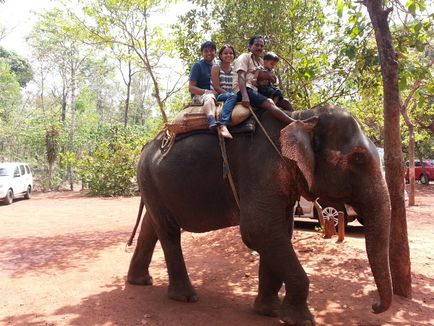 8 Motive pentru a merge la Goa, un blog delicios de călătorie