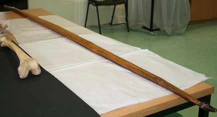 Angol Longbow (egy darab fa) angol longbow