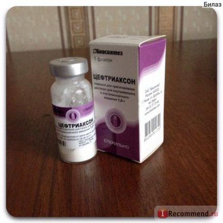 OAO antibiotikumok bioszintézise ceftriaxon - „megmenekült a gyűlölt hólyaggyulladás