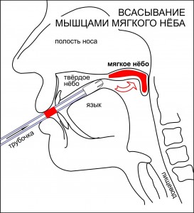 Апарат від хропіння snor