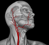 Aruncări arteriovenoase pentru operațiile venelor, centru medical barzilai