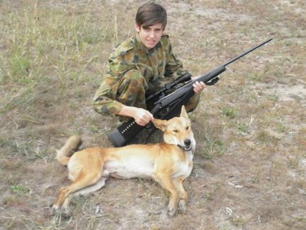 Боротьба з бродячими і дикими собаками в австралії ведеться всіма способами