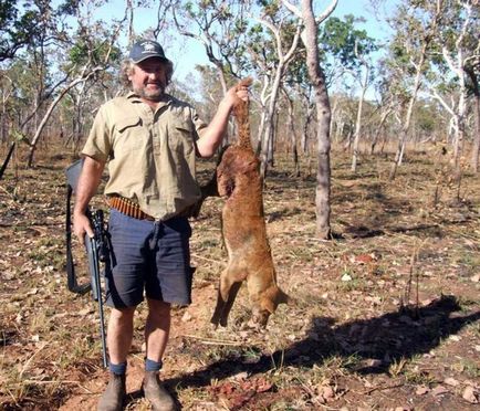 Lupta împotriva câinilor fără stăpân și a celor sălbatici din Australia se desfășoară prin toate mijloacele