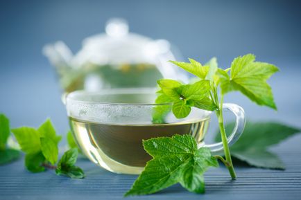Ceaiul din frunze de coacăze beneficiază și rău, rețete