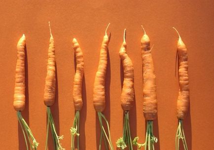 Decât morcovi folositori