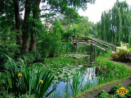 Село, в якій немає автомобільних доріг